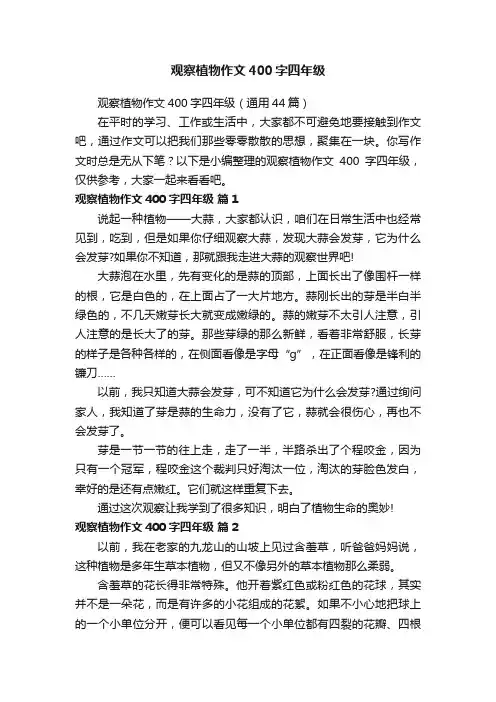 观察植物作文400字四年级
