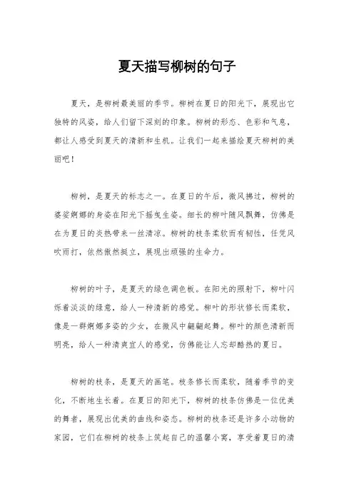 夏天描写柳树的句子