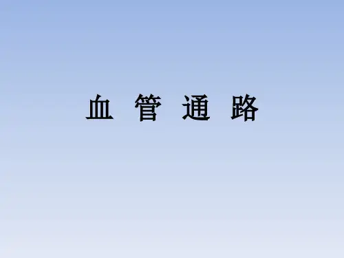 中国血液透析用血管通路专家共识(第2版)解读