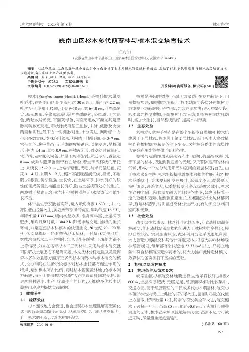 皖南山区杉木多代萌蘖林与檫木混交培育技术