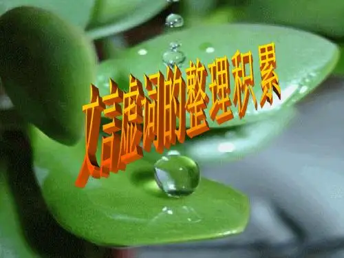 【高考语文】高考复习文言虚词的整理积累ppt
