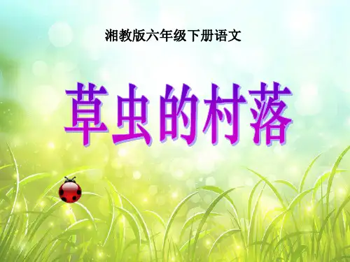 湘教版六年级语文下册《草虫的村落》PPT课件(3篇)