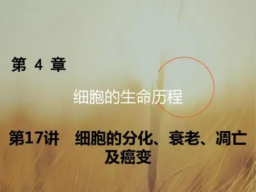 2018年高考生物一轮复习课件：第四章 细胞的生命历程 