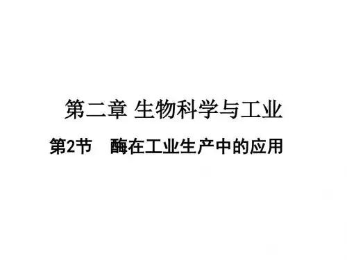 高中生物第二章生物科学与工业2.2酶在工业生产中的应用课件浙科选修2