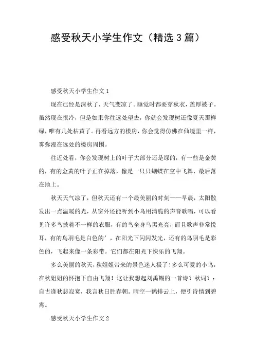 感受秋天小学生作文(精选3篇)