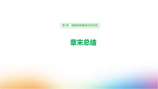 人教版高中生物必修1 第5章 章末总结精品课件