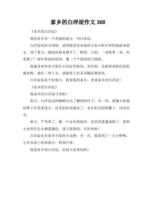 家乡的白洋淀作文300