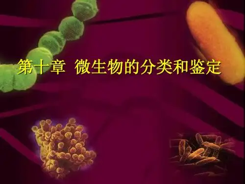 11第十章微生物分类14年