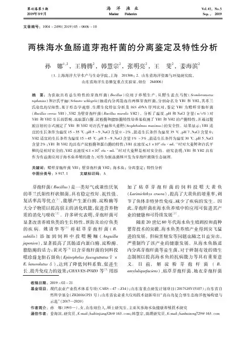 两株海水鱼肠道芽孢杆菌的分离鉴定及特性分析