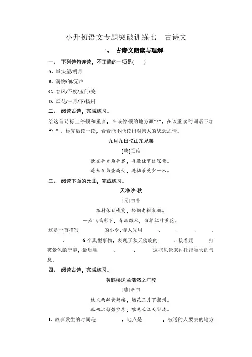 【考前专题突破】六年级下册语文试卷-小升初语文专题突破训练七  古诗文(无答案)-部编版