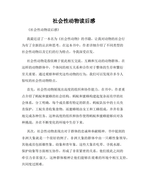 社会性动物读后感