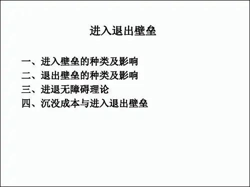 产业经济学精品课件 (6)