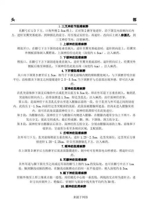 麻醉解剖-神经阻滞定位