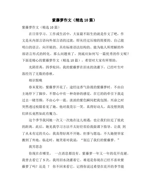 紫藤萝作文(精选10篇)