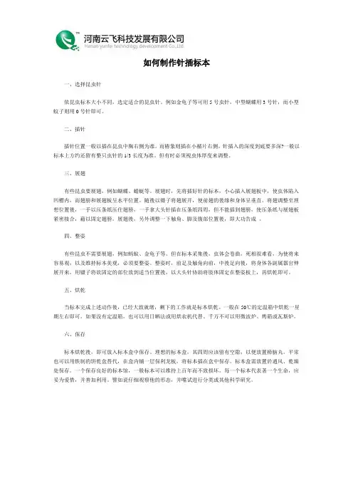 如何制作针插标本