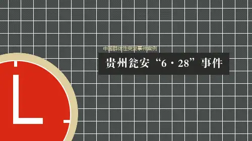 贵州瓮安“6·28”事件案例分析