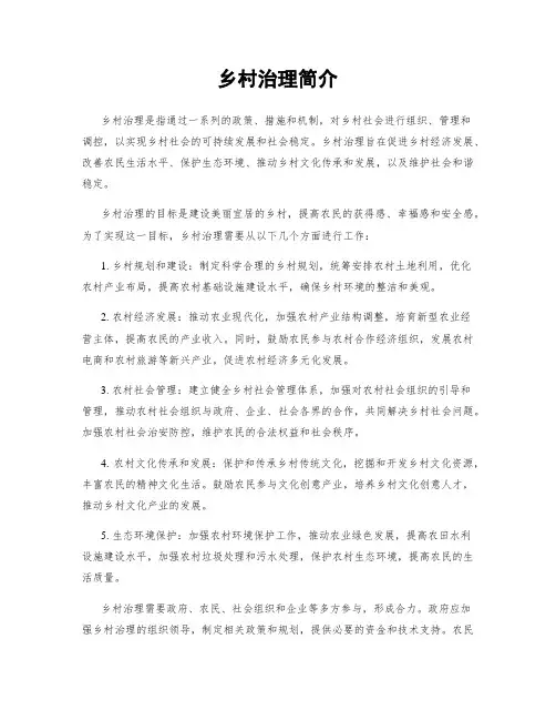 乡村治理简介