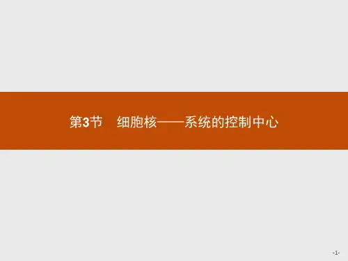 高一生物必修一3.3