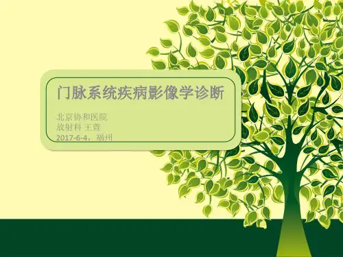 门脉系统疾病影像学诊断