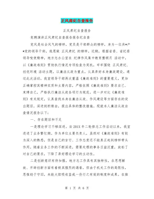 正风肃纪自查报告