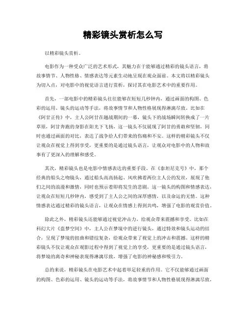 精彩镜头赏析怎么写