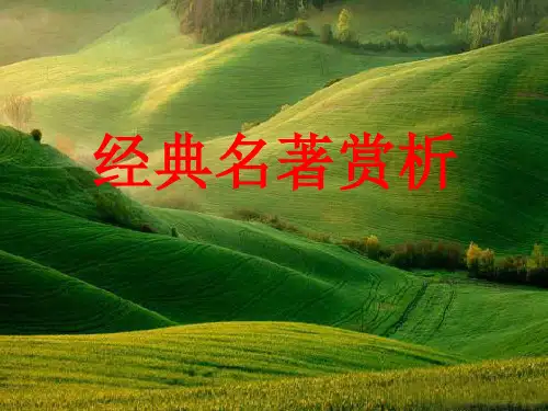 经典名著赏析：第五讲鲁迅小说《伤逝》赏析[PPT课件]