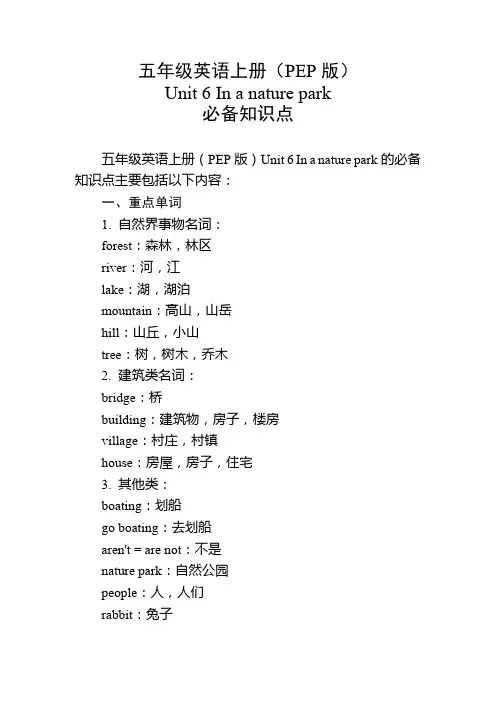 五年级英语上册(PEP版)Unit 6必备知识点