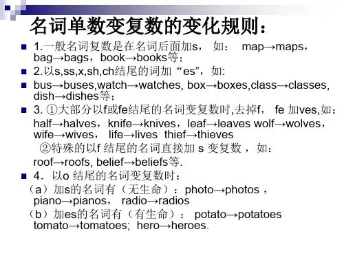 名词变复数规则
