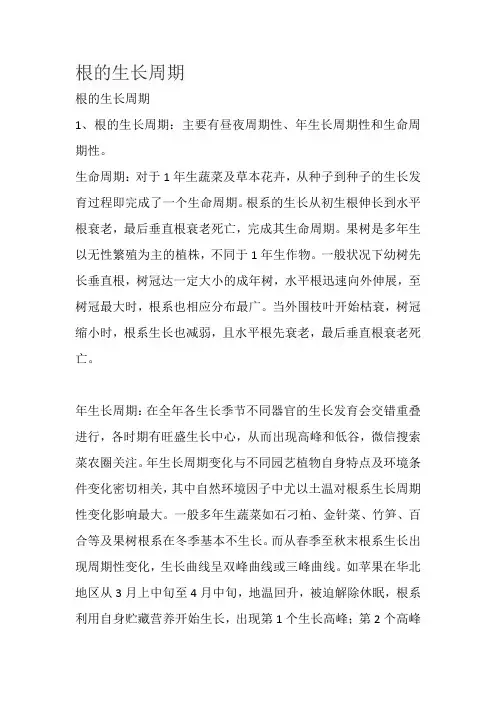 根的生长周期