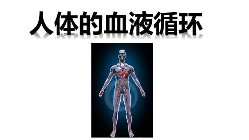 人教版七年级下册第四单元生物圈中的人第四章人体内物质的运输第三节《输送血液的泵---心脏》课件