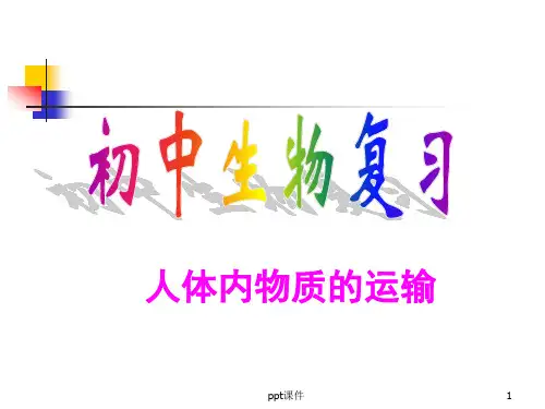 人教版生物《人体内物质的运输》复习  ppt课件