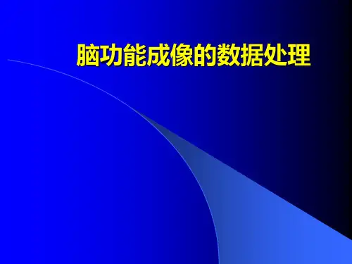 脑成像数据处理