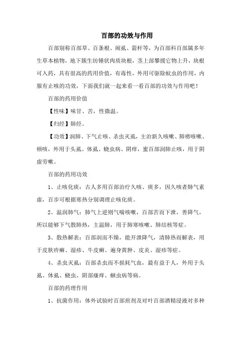 百部的功效与作用_1
