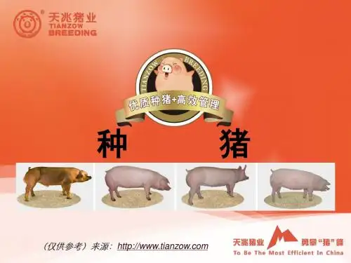 种猪