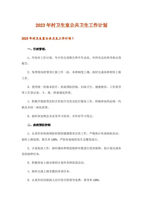 2023年村卫生室公共卫生工作计划
