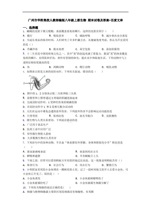 广州市华附奥校人教部编版八年级上册生物 期末试卷及答案-百度文库