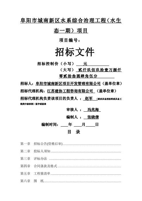 阜阳市城南新区水系综合治理工程项目