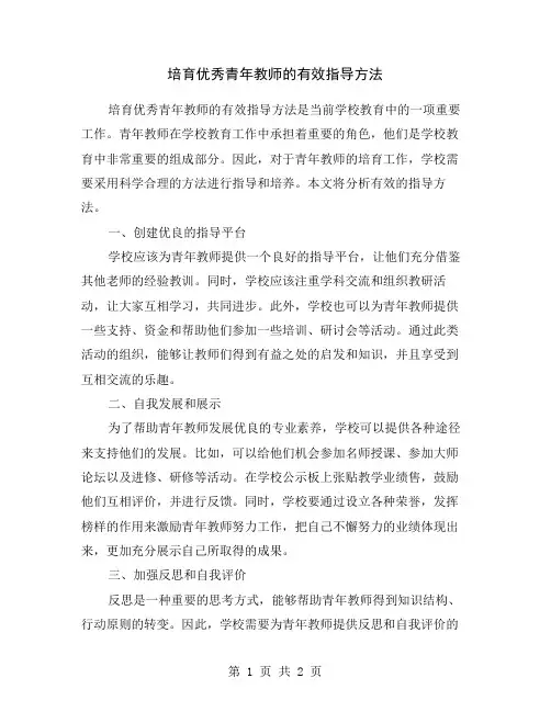 培育优秀青年教师的有效指导方法