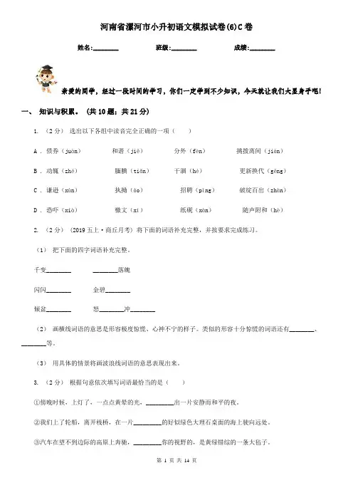 河南省漯河市小升初语文模拟试卷(6)C卷