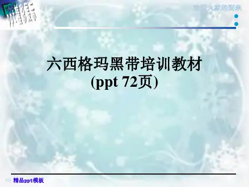 六西格玛黑带培训教材(ppt 72页)