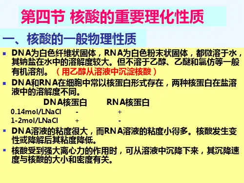 核酸的重要理化性质