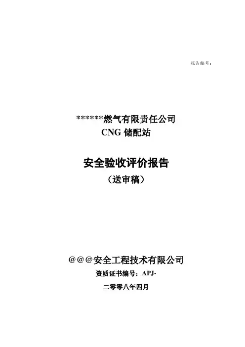 (完整版)安全验收评价报告