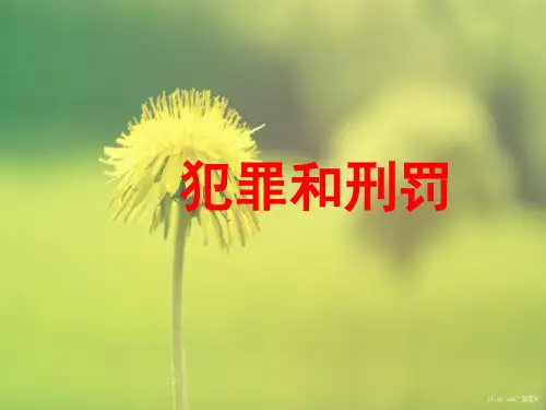 犯罪和刑罚PPT教学课件(1)