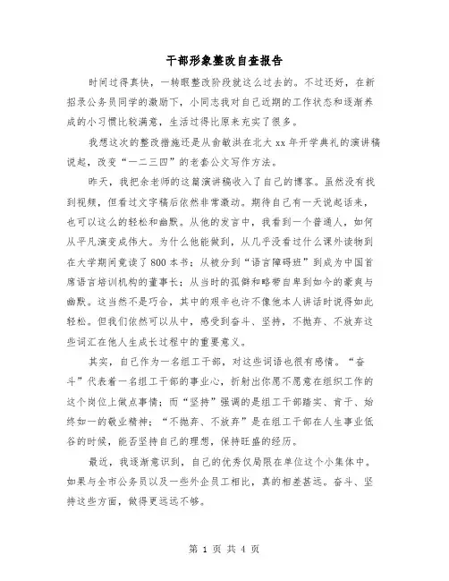 干部形象整改自查报告(二篇)