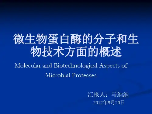 微生物蛋白酶的分