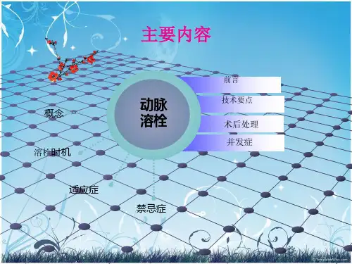 概述神经内科介入治疗ppt课件