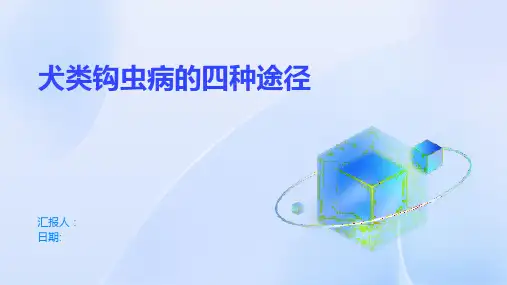 犬类钩虫病的四种途径