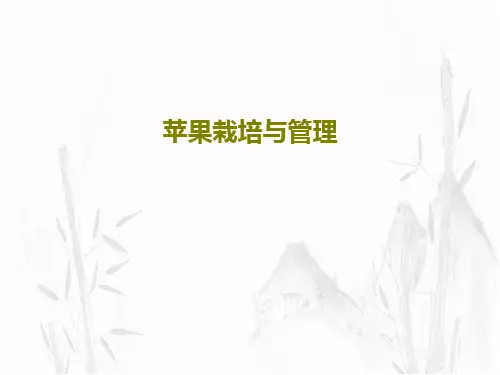 苹果栽培与管理PPT27页