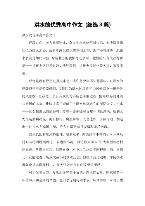洪水的优秀高中作文 (细选3篇)