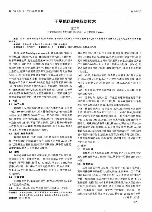 干旱地区刺槐栽培技术